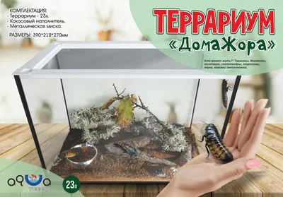 Аква Тоника Террариум-Инсектарий ДомаЖора Таракан 23л 39*21*27см купить,  цена в интернет-магазине \