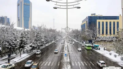 В Ташкент пришла зима — фото - 05.12.2022, Sputnik Узбекистан