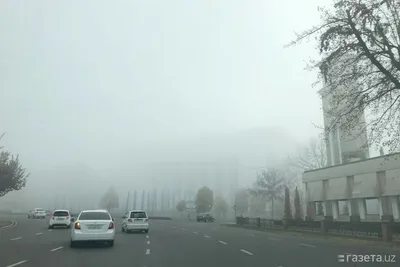 Густой туман накрыл Ташкент (фото) – Новости Узбекистана – Газета.uz