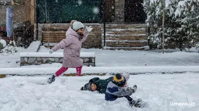 UzNews - Ташкент укутало снегом — фото