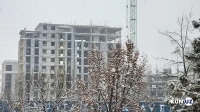 Ташкент в снежном одеянии — фото