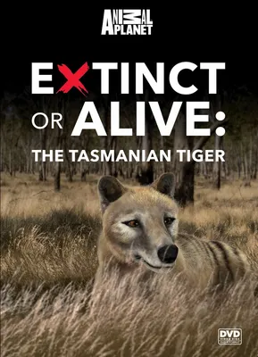 Thylacine | Tasmanian Wolf |Tasmanian Tiger