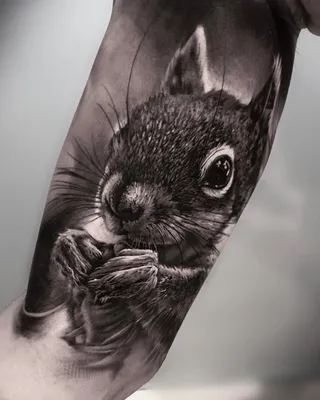 Фото пример рисунка тату белка 18,10,2021 - №0013 - squirrel tattoo -  tattoo-photo.ru - tattoo-photo.ru