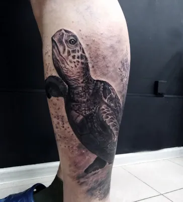 Tattoo by @jontalvo !!! #turtle #turtlepower #turtletattoo | Instagram