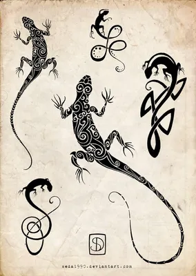 Тату ящерица | Значение татуировки с ящерицей для девушек и мужчин, эскизы