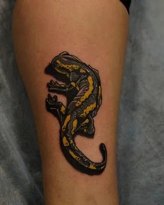 3D черная ящерица временные татуировки наклейки Gecko Lacertid дизайнерские  водонепроницаемые поддельные татуировки для мужчин женский боди-арт руки и  ноги Tatoos | AliExpress