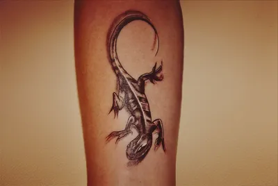 Татуировка саламандра: символика и история - tattopic.ru