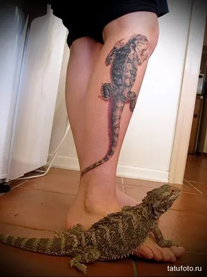 Тату ящерица (33 фото) - значение татуировки, эскизы 2023 - Страница 2