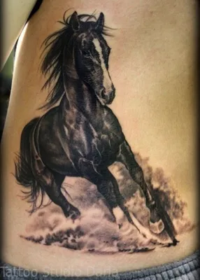 Тату лошадь | Horse tattoo, Horse tattoo design, Cowgirl tattoos