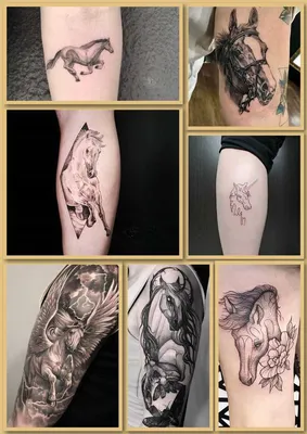 Фото тату лошадь на плече 24.07.2019 №014 - horse tattoo on shoulder -  tatufoto.com - tatufoto.com