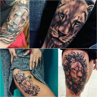 Тату Лев – Благородность и Храбрость в одной Татуировке | Tattoo-ideas.ru |  Дзен