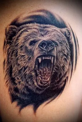 медведь тату фото тату медведя на плече Foto-Tur #yandeximages | Animal  tattoos, Bear tattoos, Sleeve tattoos