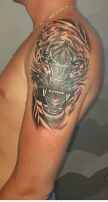 Тату Тигр - фото, эскизы татуировки Тигр, значение | Сделать тату Тигр в  СПб - Art of Pain