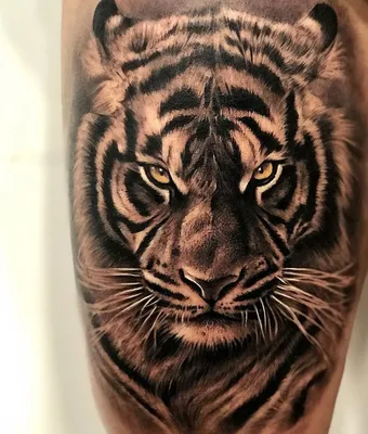 Hand Tattoo Animal - Viraltattoo | Tiger tattoo design, Tiger tattoo,  Animal tattoos