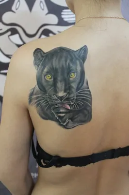 Тату пантера (47 фото) - значение татуировки, эскизы 2024
