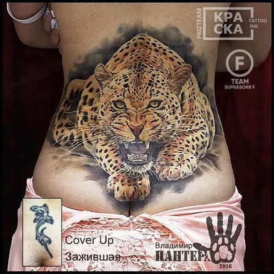 Тату Пантера: фото, эскизы и значение татуировки для мужчин и женщин