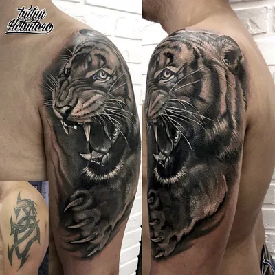 Татуировки пантеры и их значение | Татуировка