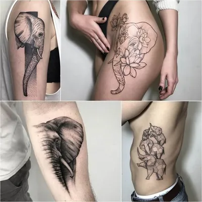 Тату слон | Лучшие Мужские и Женские Тату Идеи и их Значения ☛  https://tattoo-ideas.ru #тату #татуслон #… | Татуировки для женщин, Татуировка  слона, Татуировка перо