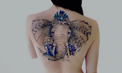 Тату слон (66 фото) - значение татуировки, эскизы 2024