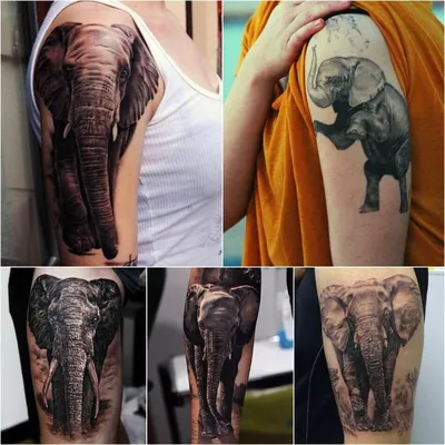 Тату Слон – Значение Тату Слона | Tattoo-ideas.ru | Дзен