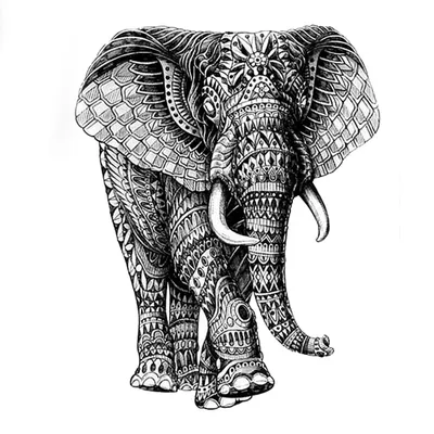 Тату на ноге слон - 3 Фото и значение татуировок 2024