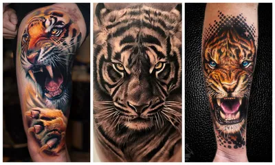 тату тигр с тигренком | Ink tattoo, Animal tattoo, Art tattoo