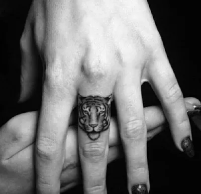 Тату тигр на животе - 2 Фото и значение татуировок 2024