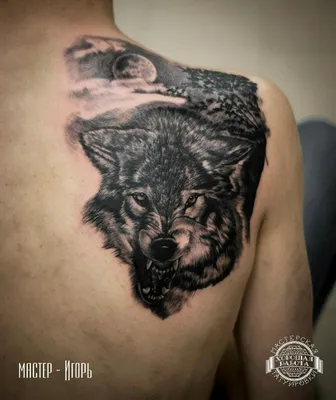 Pin by Рамиль Сунчалиев on леха | Wolf tattoos, Wolf tattoos men, Wolf  tattoo design