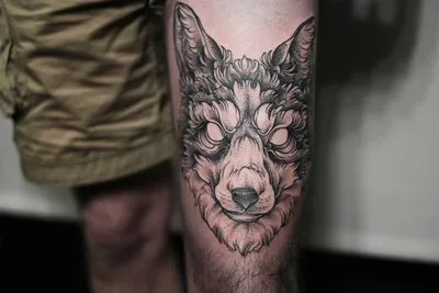 Тату волка на плече! #волк #волктату #волкнаплече #татуволк | Татуировка  волка | ВКонтакте