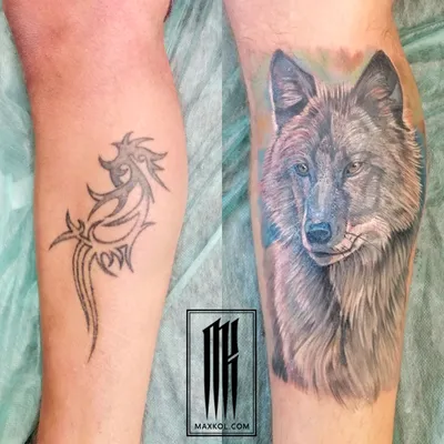 40 Татуировок - Тату Волк на предплечье || Wolf tattoo on forearm — Видео |  ВКонтакте