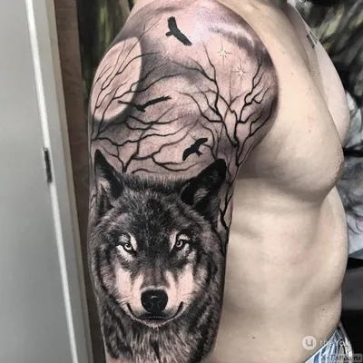 Модное тату волк 🐺 : значение, фото, эскизы | Wolf tattoos, Cool chest  tattoos, Forest tattoos