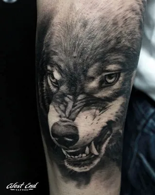 40 Татуировок - Тату Волк на предплечье || Wolf tattoo on forearm - YouTube