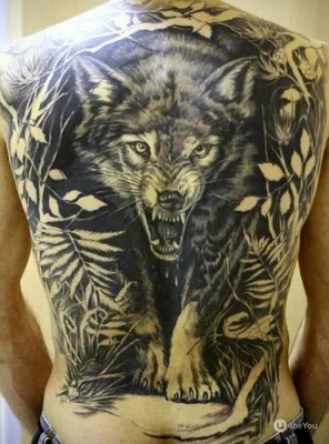 Узнай настоящее значение татуировки волк | Tatouage loup, Tatouage tete de  loup, Modèle de tatouage loup