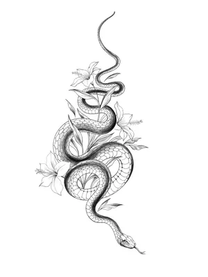 Эскиз змеи на ногу - 68 фото