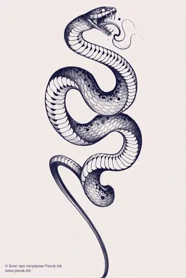 Эскиз тату змея | Блог про татуировки pavuk.ink | Тату кобры, Мужские  татуировки на спине, Татуировка рука