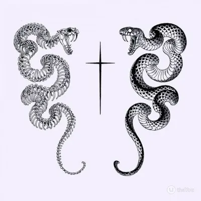 Эскизы тату со змеями - выбирайте свой стиль - tattopic.ru
