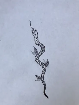 Тату эскиз змея | Татуировка за ухом, Маленькие татуировки, Тату