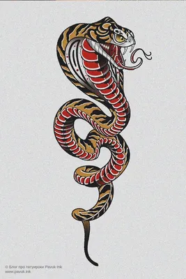Эскиз тату змея и цветы | Блог про татуировки pavuk.ink | Татуировки,  Круглые татуировки, Маленькие татуировки