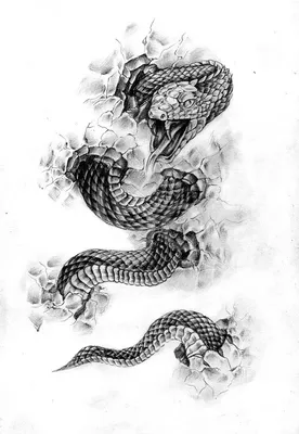 Эскизы татуировки змея. Рисунки тату | Тату кобры, Татуировки в виде  дракона, 3d татуировки