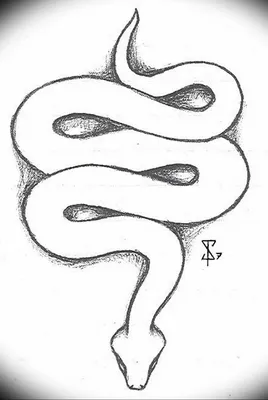 Легкие рисунки змеи - 64 фото