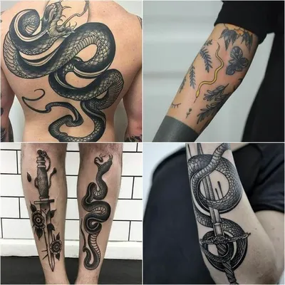 Snake #snaketattoo #змея #змеи #тату эскизтату #эскиз #maxnorth | Tattoo  designs, Tattoo sketches, Trendy tattoos