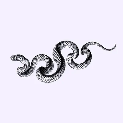 Эскиз змеи на руку - 69 фото