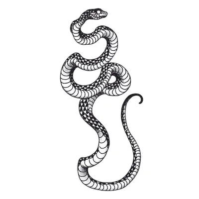 100+ фото идей: Тату Змея для девушек и мужчин - эскизы, значение | Snake  tattoo design, Sleeve tattoos, Serpent tattoo
