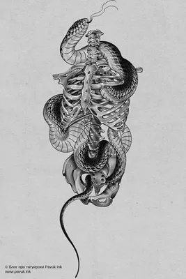 Эскиз тату змея и скелет | Блог про татуировки pavuk.ink | Snake tattoo  design, Tattoo design drawings, Tattoo art drawings