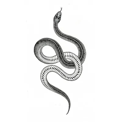 Татуировки змей для девушек – символ силы и грации - tattopic.ru