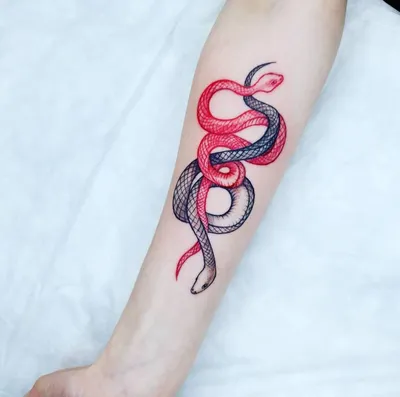 Тату, реализм, змея, tattoo, realism, serpent. Andrey Kuzmin- the painter |  Тату, Татуировки, Реализм тату