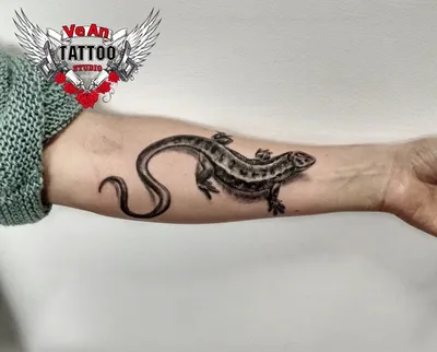 Sereja - #ящерица#татуящерица#тату#татуировка#lizard #lizardtattoo  #tattoo#tattoos#coveruptattoo #кавер#каверап #кавераптату  #lizardstattoos#татудд#перекрытиетату #димитровград73 #димитровград_лайф #  | Facebook