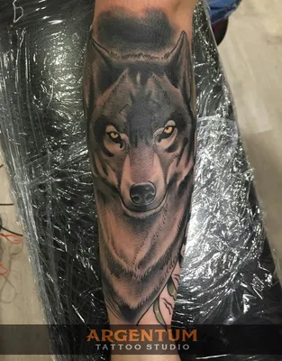 Тату волк, wolf tattoo