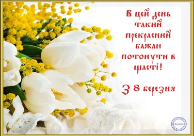 От лица нашей компании поздравляем с праздником 8 Марта - PELI PARKE Россия