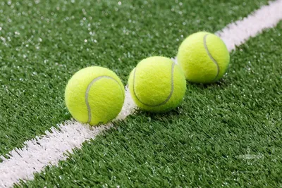 Высокая подача: почему большой теннис в России считается элитарным видом  спорта | Forbes Life